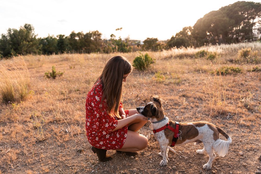 Woman with small friendly dog outdoors