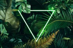 Creative fluorescent color layout made of tropical leaves with neon light square