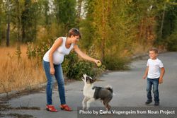 Woman and boy playing with husky dog with a tennis ball 4ANqYb