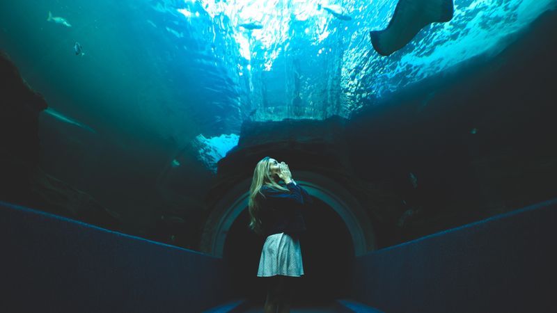 Woman standing in a walkway underwater in a aquarium