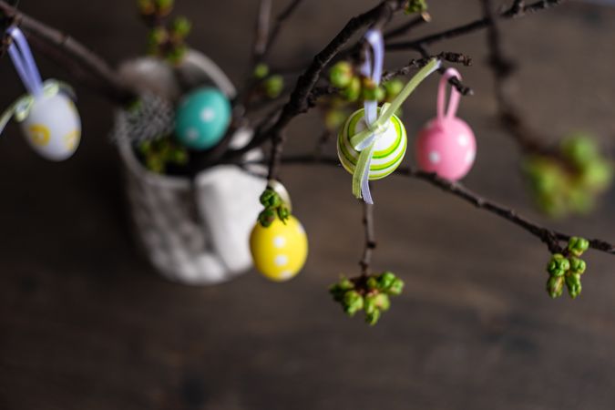 Decorative eggs on branch