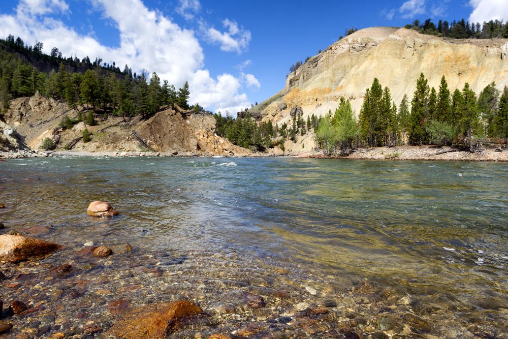 Yellowstone River running through canyon on beautiful summer day