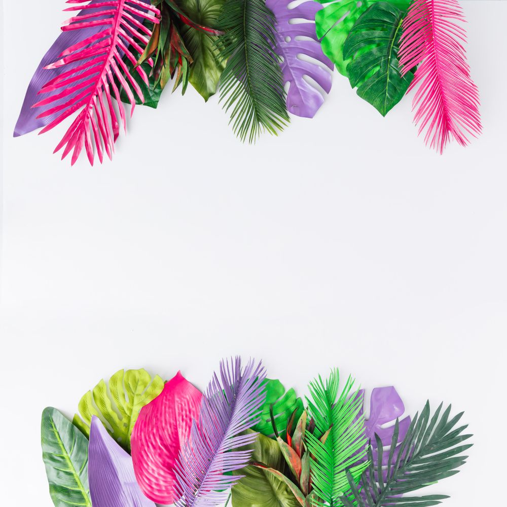 Multicolored tropical leaves on light background