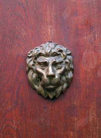 Bronze head of lion on red wooden texture. Head of lion on red door.