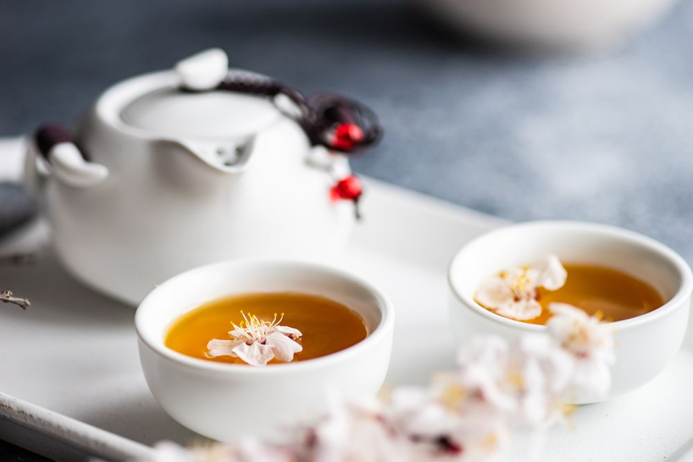 Spring floral concept with apricot blossom surrounding tea set