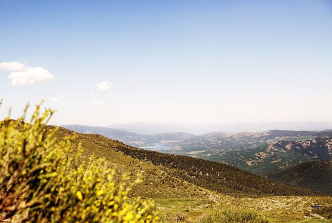 Picturesque landscape of green mountains in summer