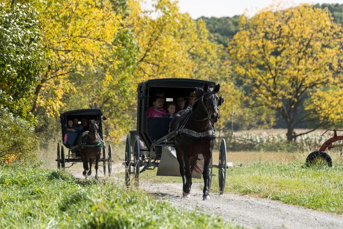 Horse-drawn Amish buggies for tourists near Walnut Creek, Ohio