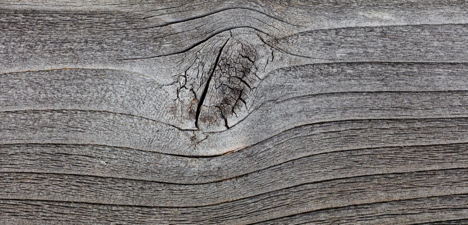 Gray vintage cedar wood