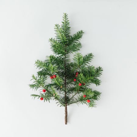 Miniature Christmas tree pine branch with holly