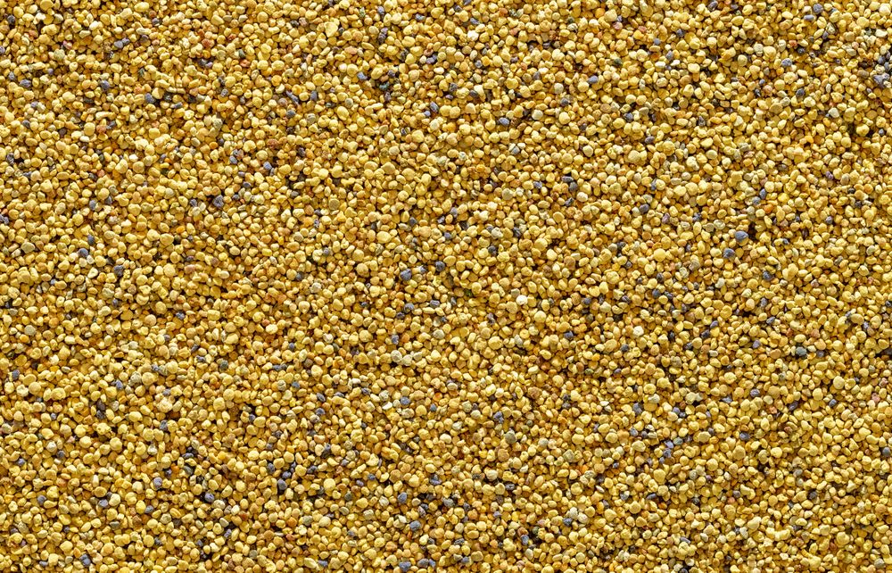 Bee pollen grains, above view