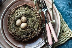 Top view of decorative eggs in delicate nest on ceramic pink plate on table