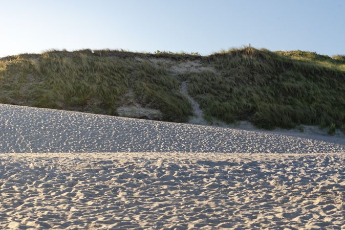 Sand dune landscape with marram grass on Sylt island beach