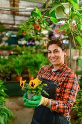 Smiling woman with potted flowers in greenhouse