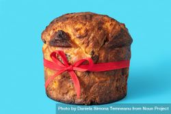 Homemade panettone isolated on a blue background bGYoX5