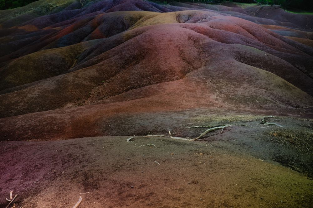 Tourist site in Mauritius with multiple colors in a clearing