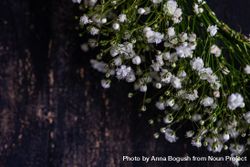 Close up of gypsophila paniculata flowers in wreath 5ngWnM