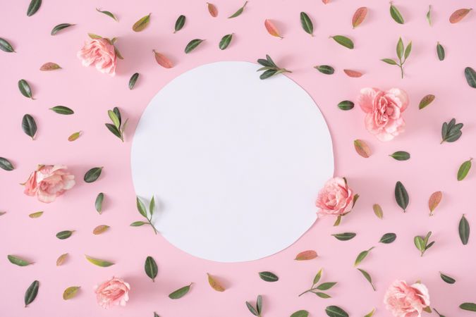 Pink flowers and green leaves with light  paper circle on pink background