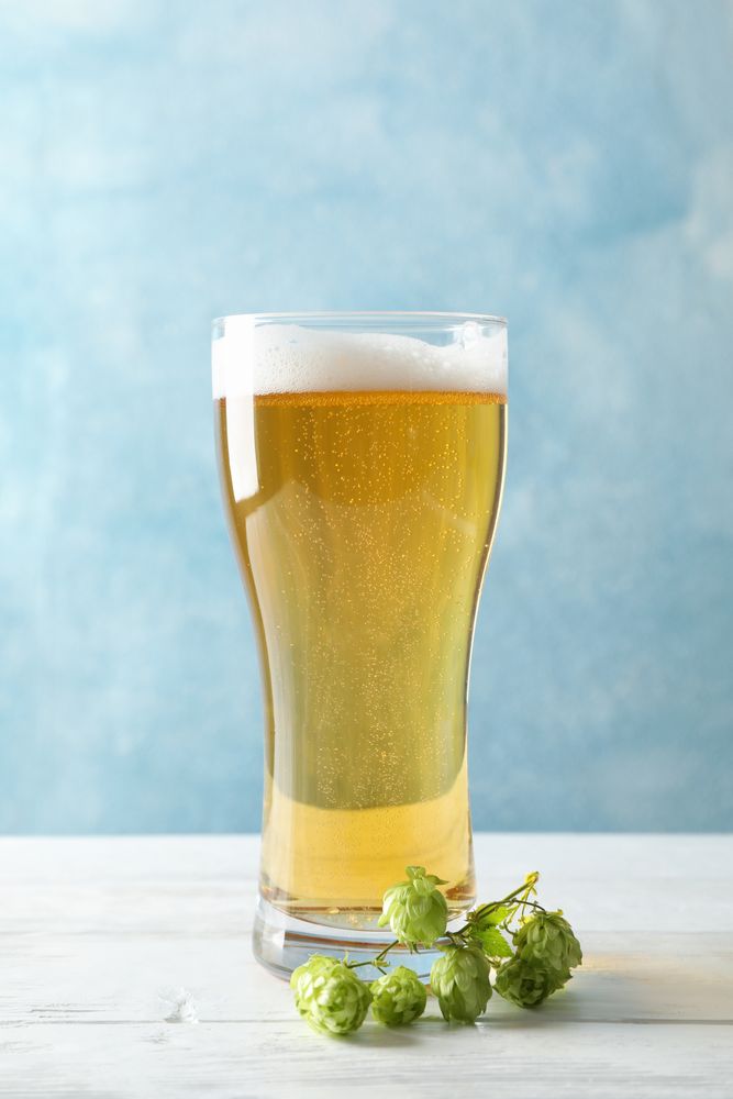 Mug with beer, spikelets and hop on wooden table, space for text