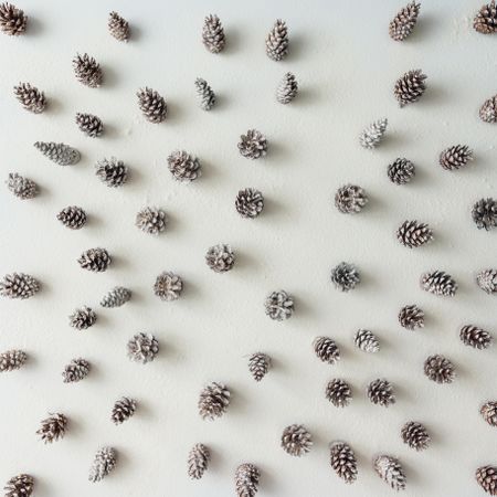 Snowy winter forest aerial made of pinecones