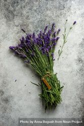 Bunch of lavender flowers on grey counter 5RVZoW