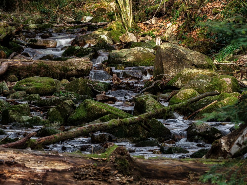 All Saints waterfall in Germany, spring time, sunny weather