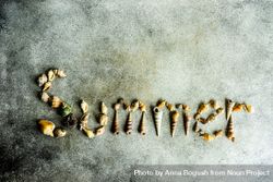 "Summer" spelled with sea shells bYqgyd