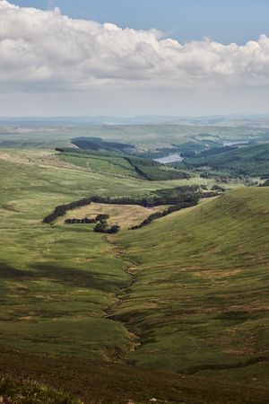 Beautiful green valley in Wales, portrait