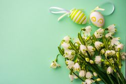 Snowdrops on green background with Easter eggs