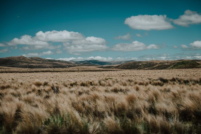 Spacious field with dry grass and hills behind