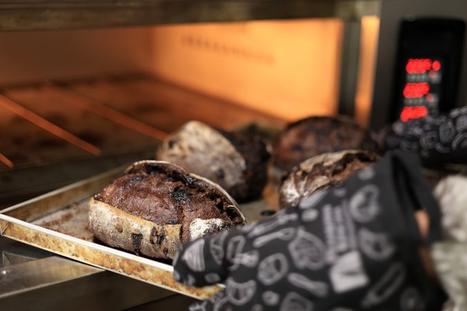 Professional Baker Removing Three Freshly Brownie Rustic Baked Sourdough Bread