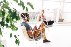 Two people working separately in a bright modern office with plant
