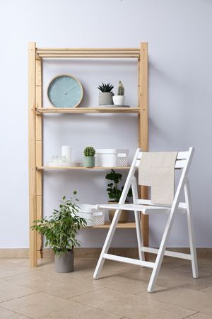 Cozy hobby - growing indoor plants at home