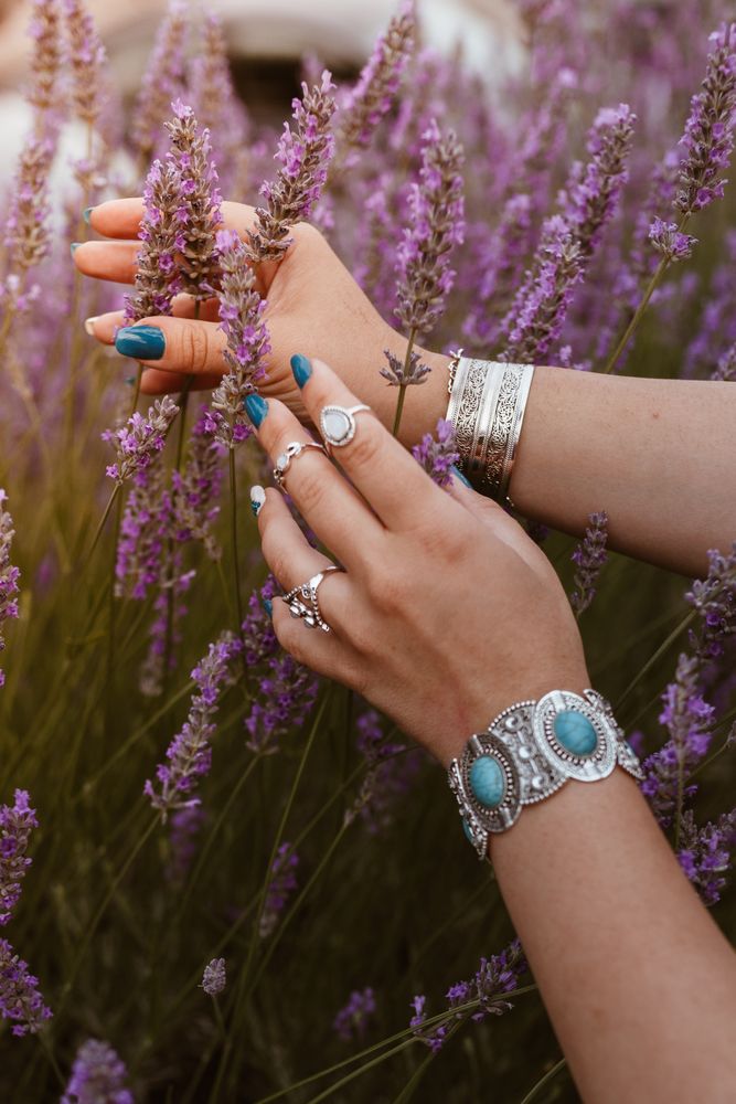 Beautiful sprigs of lavender in hands n sun