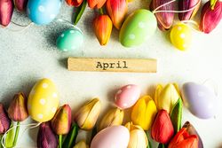 Flat lay of tulips and egg decorations for spring