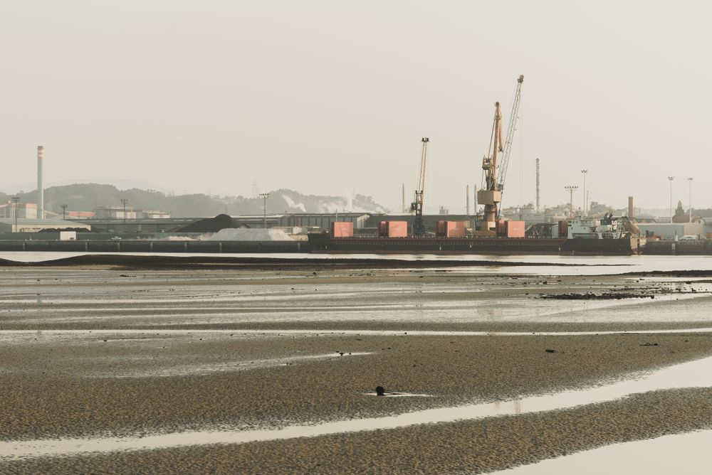Industrial landscape with sea bay and port cranes