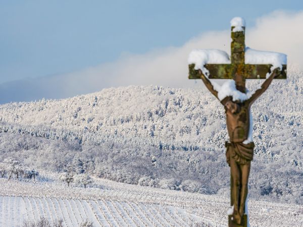 Alsace vineyards under heavy snow on a sunny winter day. Details and top view.