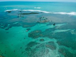 Sailboats in the clear waters of Porto de Galinhas Beach