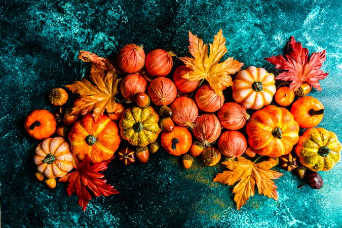 Teal background with autumn decorations