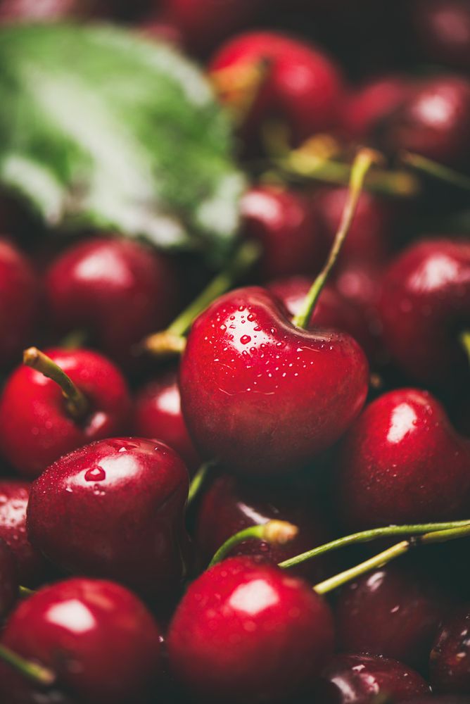 Freshly washed batch of cherries, close up of one with stem, vertical composition