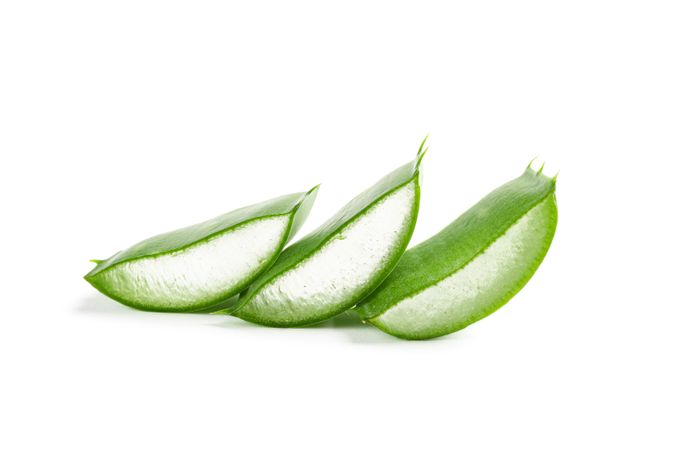 Aloe vera slices isolated on studio background. Herbal medicine