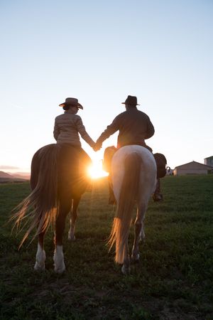 People on horses holding hands