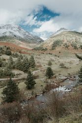 Wonderful valley with trees and high hills in cloudy weather