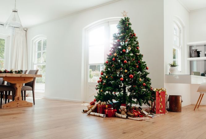 Christmas celebrations with beautifully decorated Christmas tree at home
