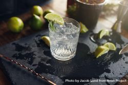 Gin and tonic drink with lemon slices and spoon on a dark board 0PGEvb