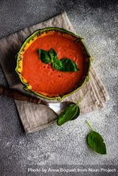 Top view of traditional tomato soup with herb garnish 4OdjyZ