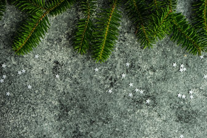 Pine branches and star glitter on concrete counter
