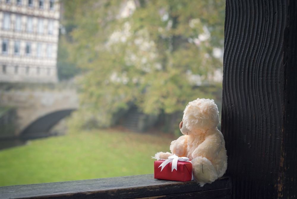 Teddy bear and gift on a wooden beam