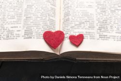 Two hearts on the pages of a book 4ZMXn5