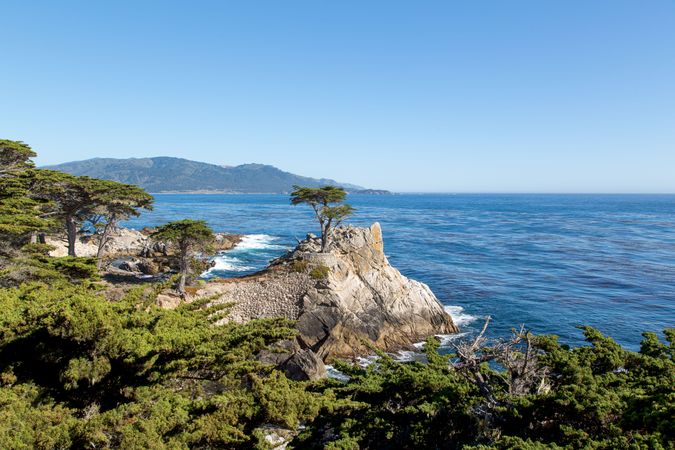 Sea cliff with lone cypress tree in Monterey, California