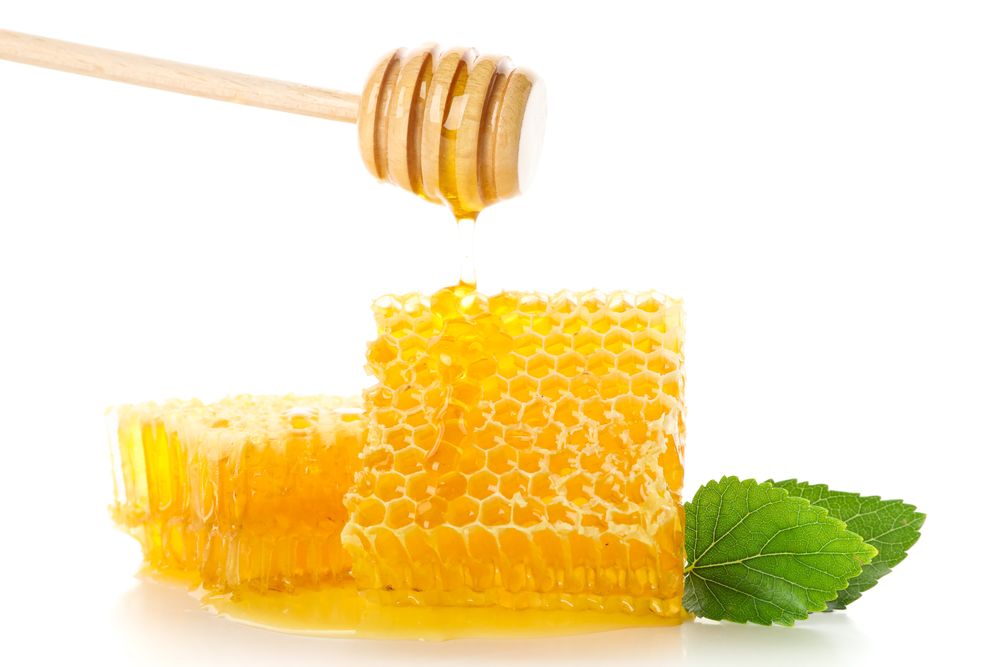 Honeycombs, dipper and leaves isolated on blank background